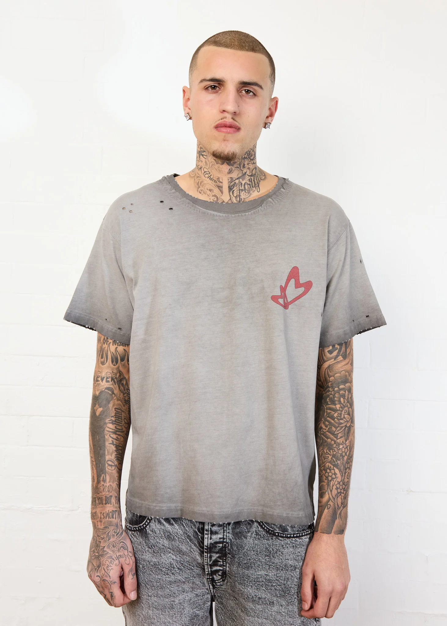 DISTRESSED WINGS TEE GREY - Image 5